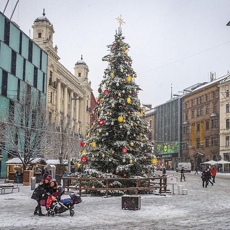 Brno - Apartman V Bohemske Ctvrti Kamenka Esterno foto