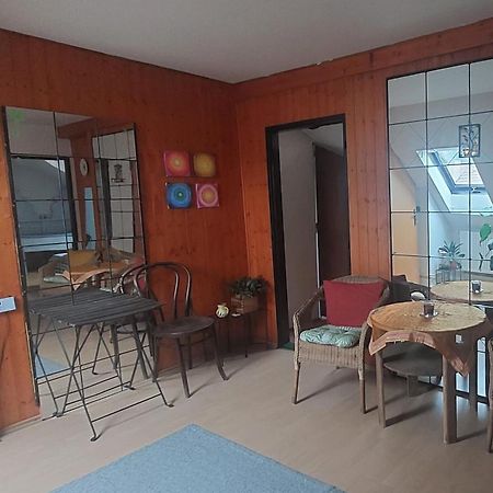 Brno - Apartman V Bohemske Ctvrti Kamenka Esterno foto