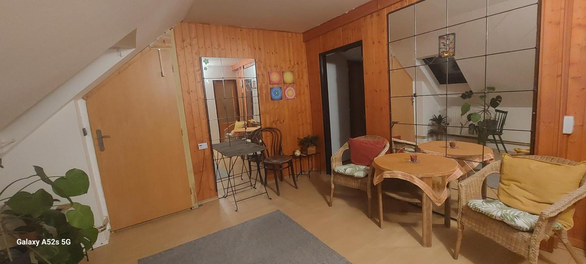 Brno - Apartman V Bohemske Ctvrti Kamenka Esterno foto