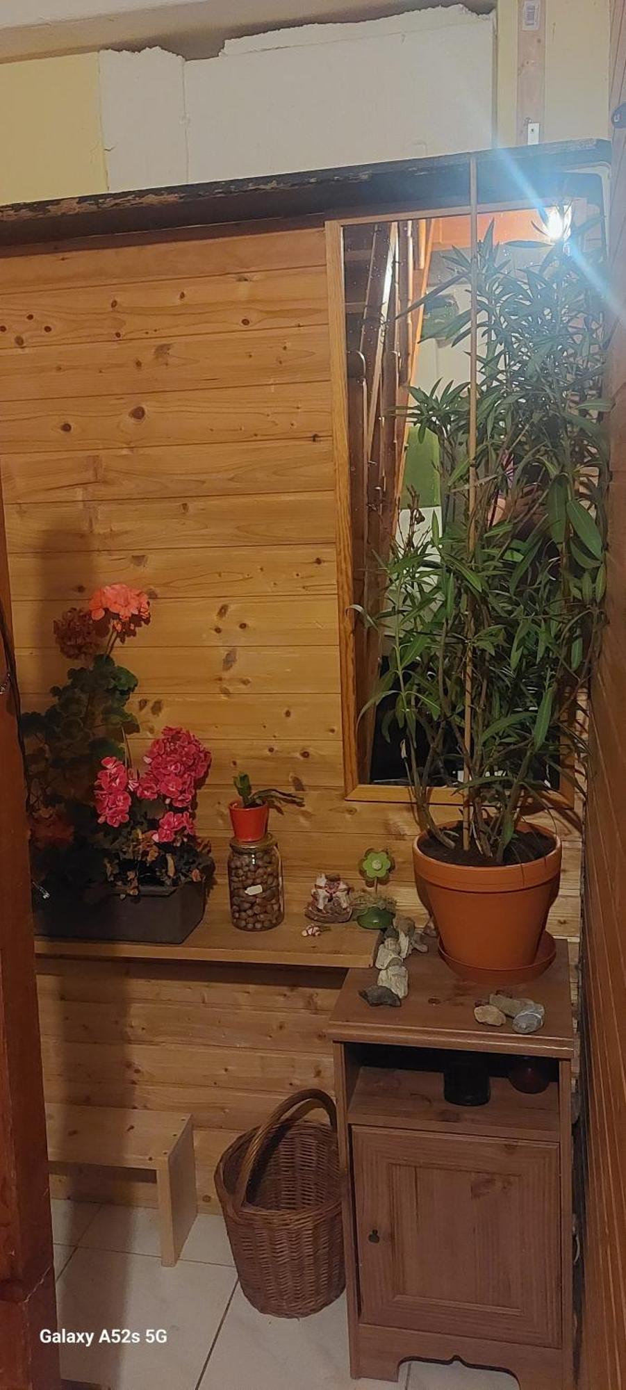 Brno - Apartman V Bohemske Ctvrti Kamenka Esterno foto