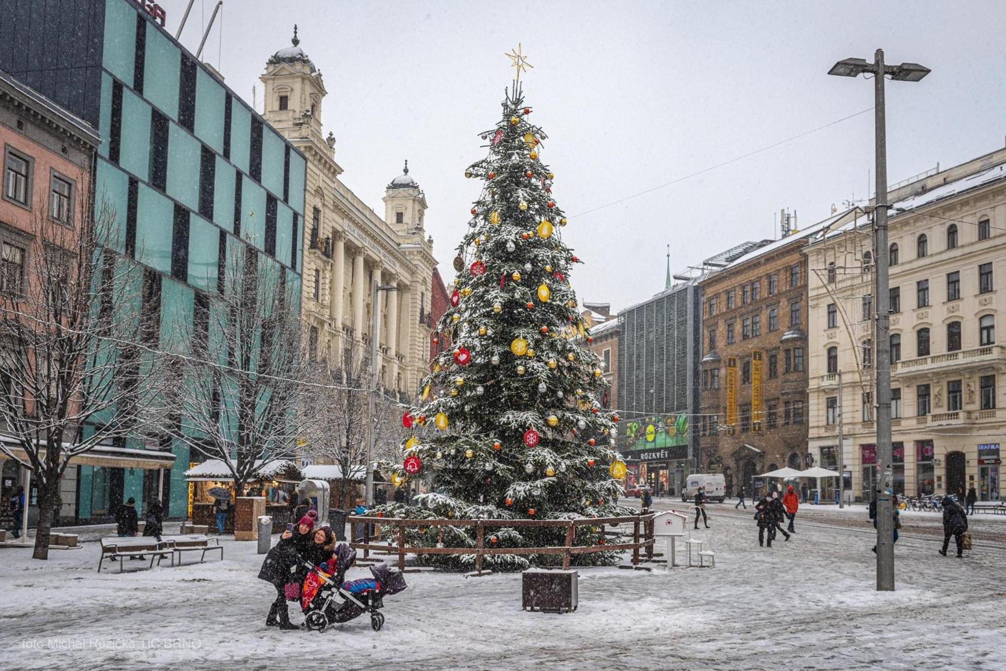 Brno - Apartman V Bohemske Ctvrti Kamenka Esterno foto