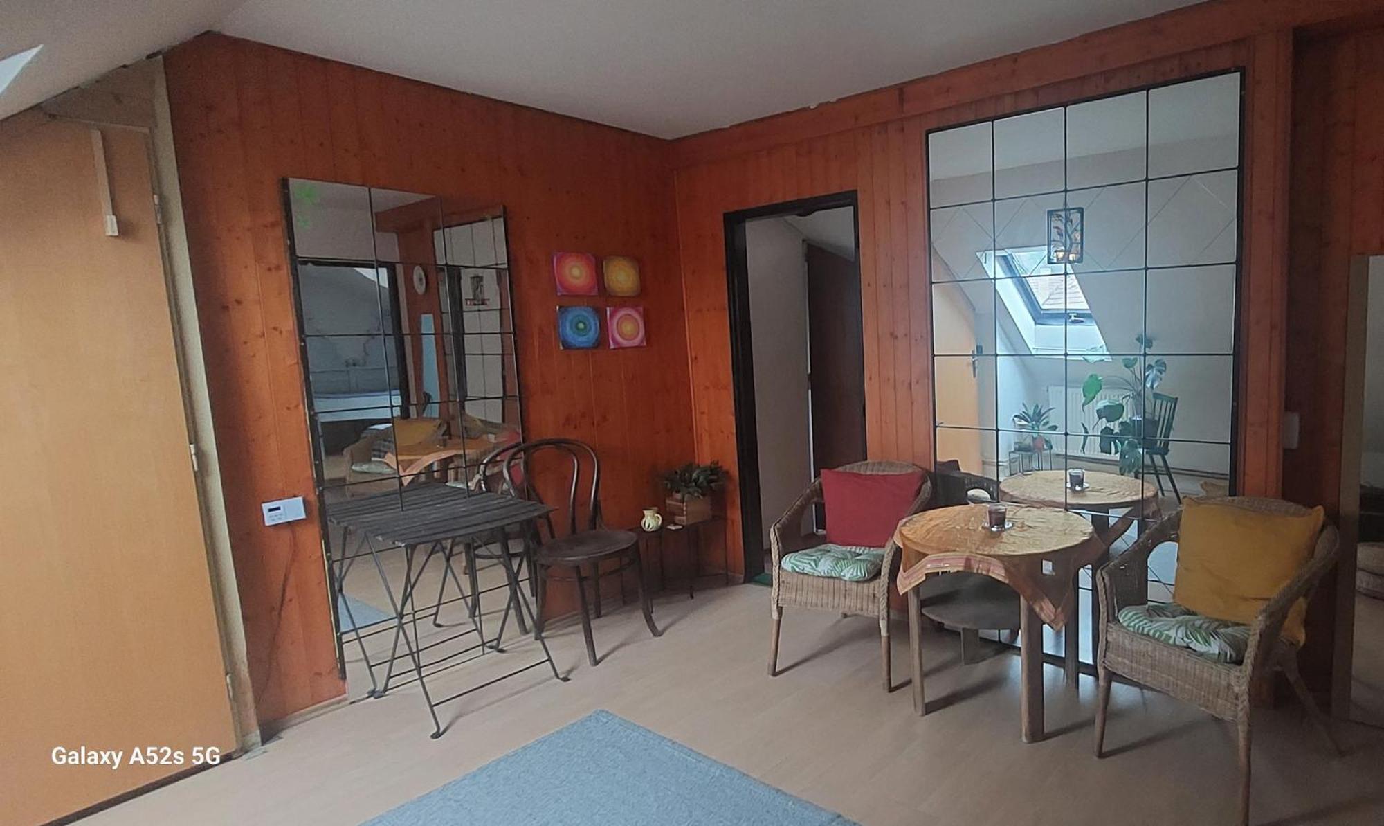 Brno - Apartman V Bohemske Ctvrti Kamenka Esterno foto